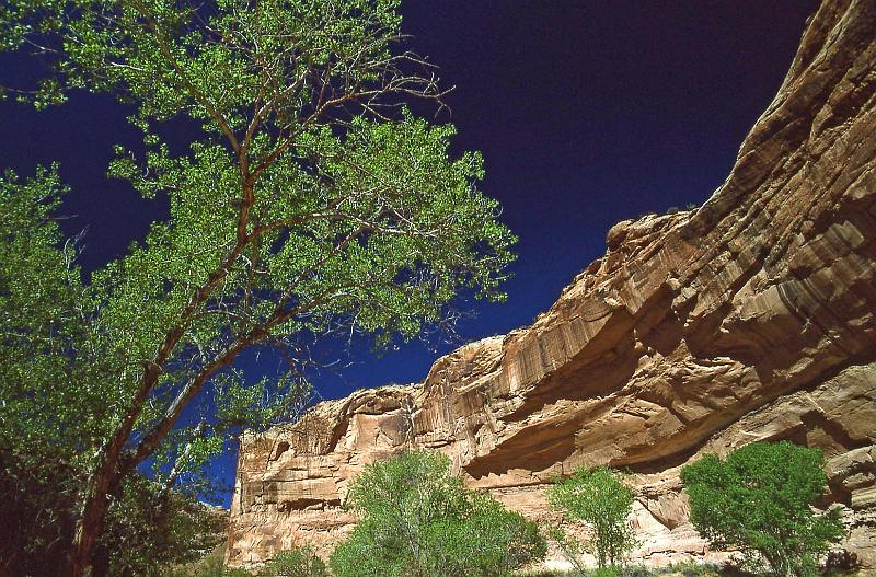 1996-04 Utah Trip 197 Horseshoe Canyon.jpg